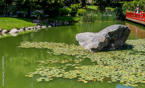Lake