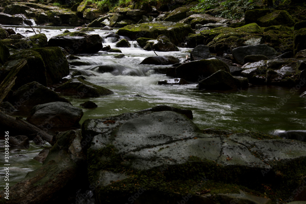 Bach im tiefsten Wald