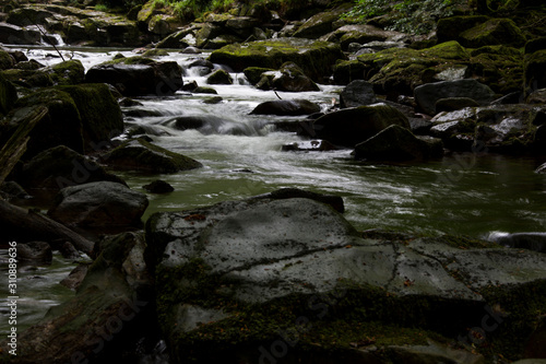 Bach im tiefsten Wald