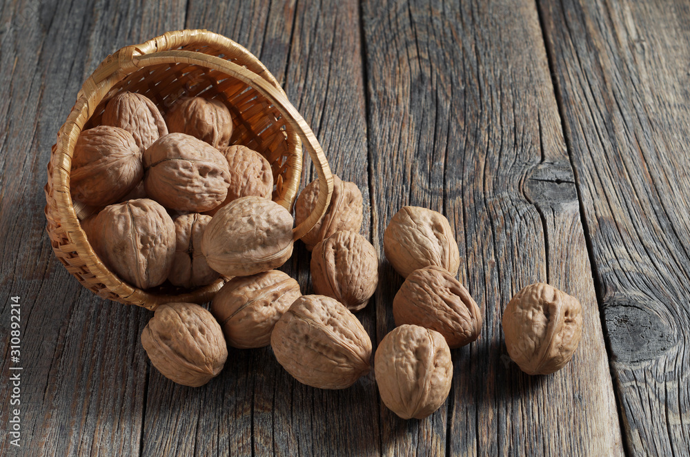 Walnuts scattered from the basket Walnuts scattered from the basket