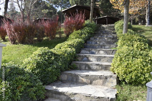 stair walkway in the park