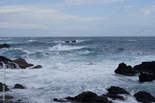  The sea of ​​swell Kochi