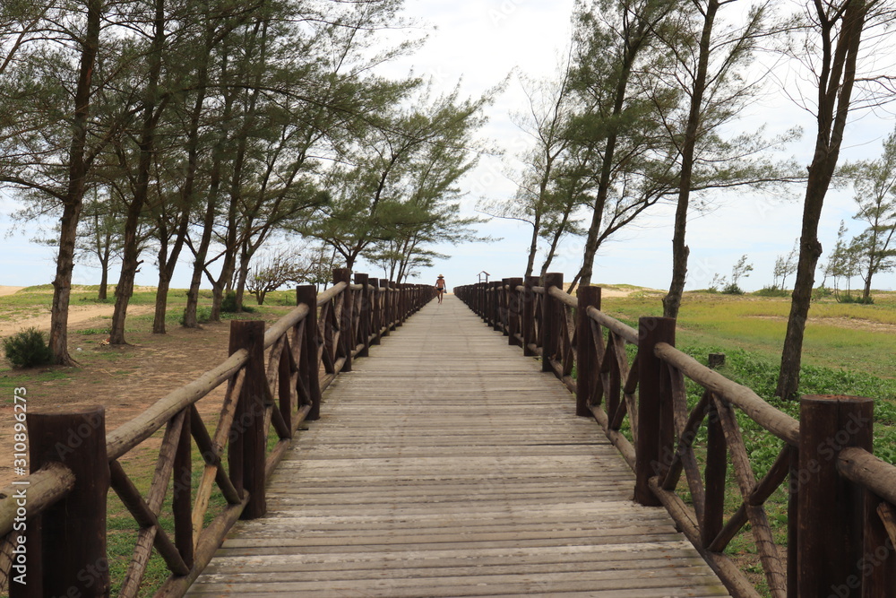Fototapeta premium wooden bridge in park