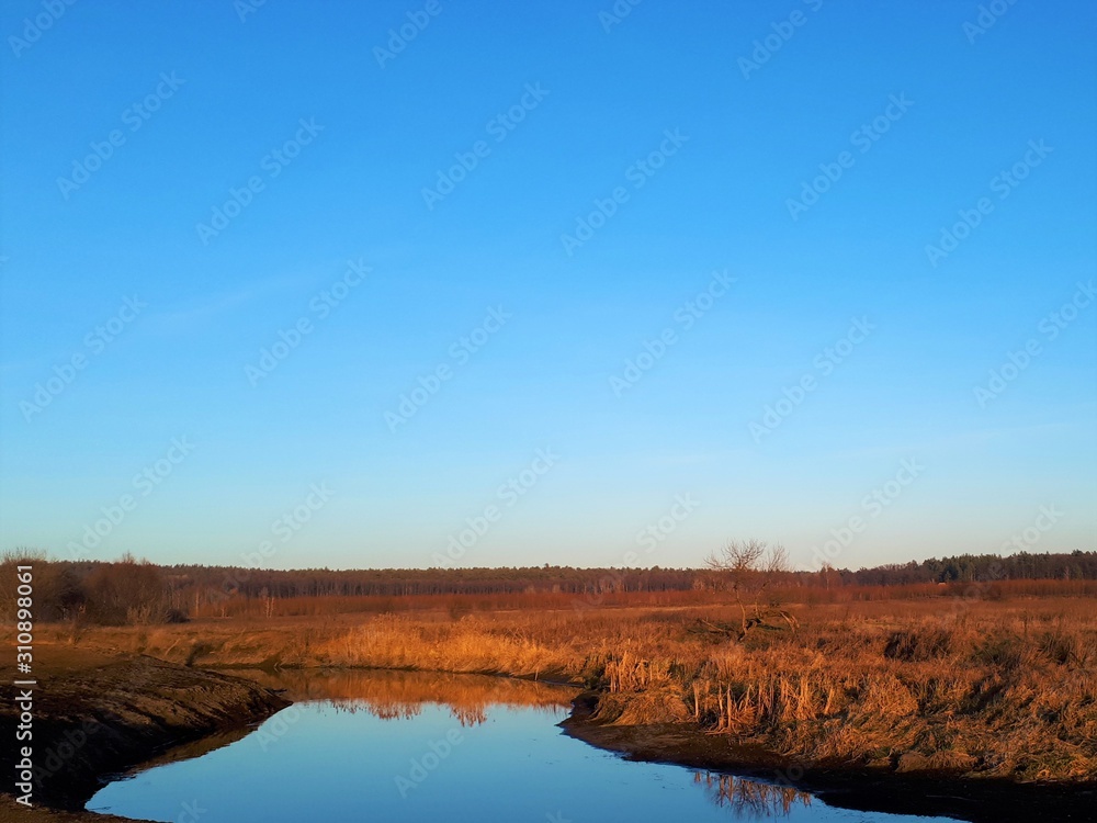  river in autumn, near which yellowed trees, reeds and bushes, against the blue sky