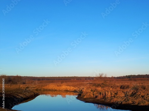  river in autumn, near which yellowed trees, reeds and bushes, against the blue sky © Liudmyla