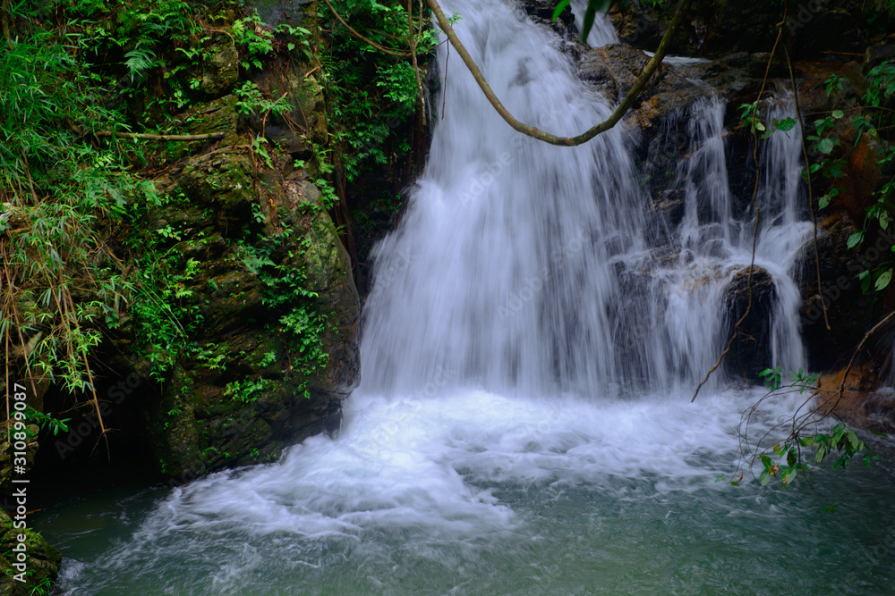Fototapeta premium Beautiful streams and waterfalls in the forest in summer.