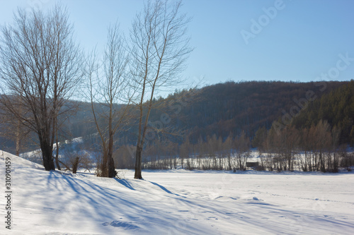 Winter snowy landscape with hills and trees © YelliJelli