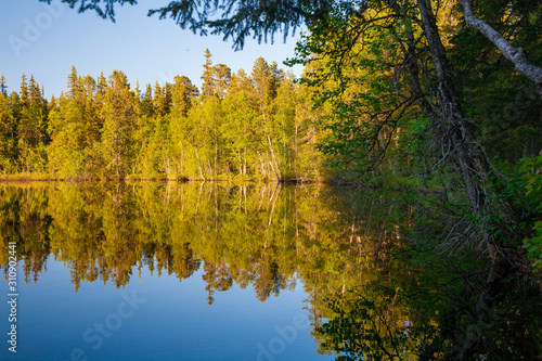 Solovki. landscape lake sanset