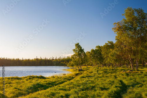 Solovki. landscape lake sanset