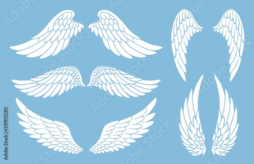 Obraz na plátně Set of hand drawn bird or angel wings of different shape in open position
