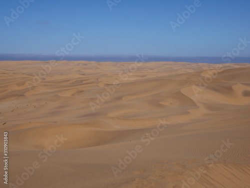 Dorob National Park Swakopmund Namibie