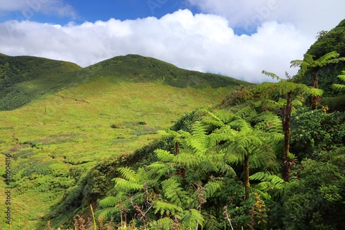 Guadeloupe green mountains