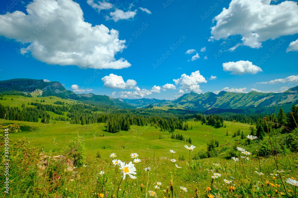 Summer time mountain panoramic landscape at Switzerland