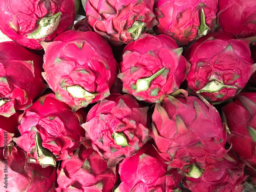 Hainan Island, tropical fruit pitahaya Hainan Island, tropical fruit pitahaya