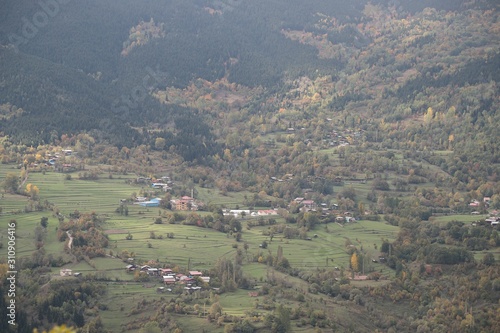 Wallpaper Mural Autumn village trees landscape view. Autumn village scene.  Torontodigital.ca