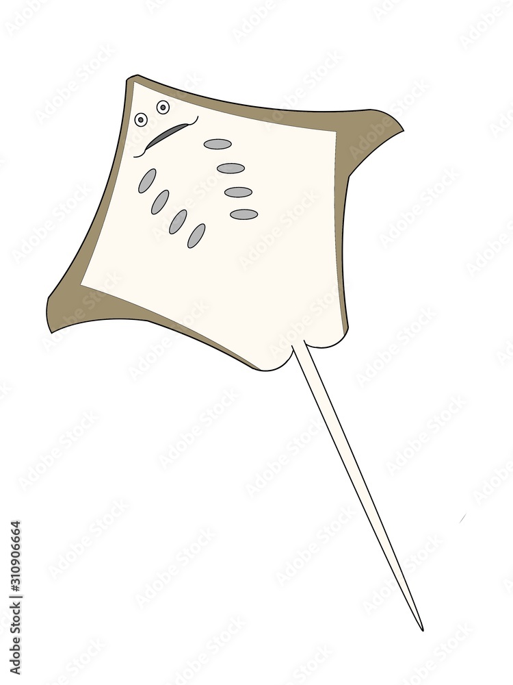illustration of a Ray illustration of a Ray