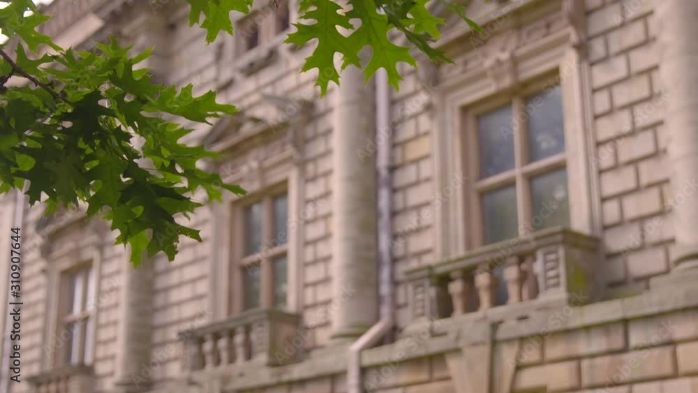 A close up shot of a sand coloured building with leaves swaying up and down in the top and left hand sides of the screen A close up shot of a sand coloured building with leaves swaying up and down in the top and left hand sides of the screen
