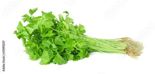 Organic celery (root celery and leaves of celery) isolate on white background, Thai green vegetables.