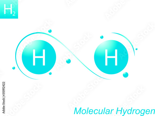 Two atoms of molecular hydrogen in vector