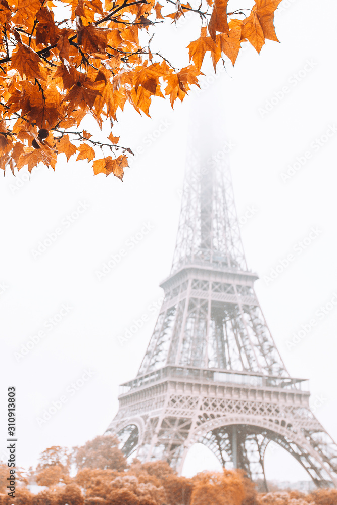 Eiffel Tower in the fog in autumn - romantic view - vertical format