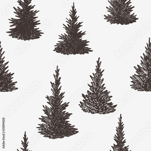 Hand drawn spruce trees seamless pattern, vector background with fir trees