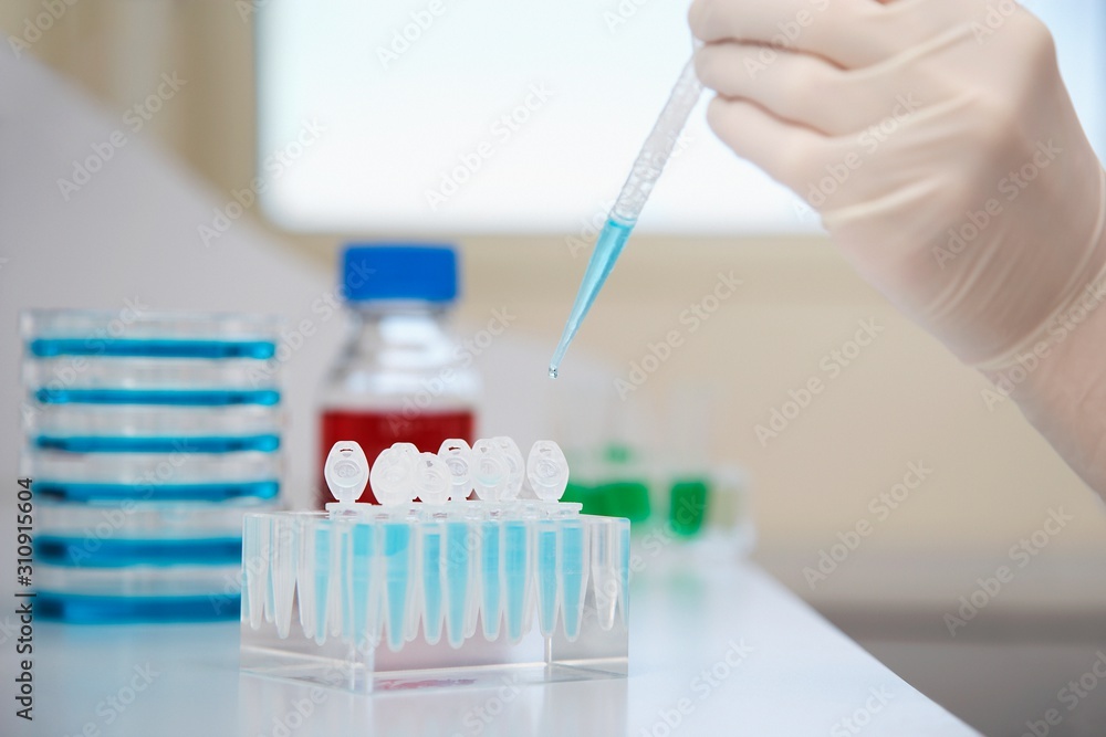 Gloved Hand Filling Test Tubes With Pipette Gloved Hand Filling Test Tubes With Pipette