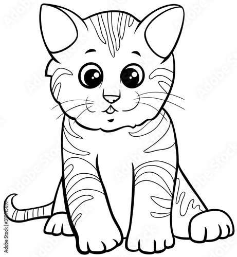 cute kitten cartoon character coloring book page