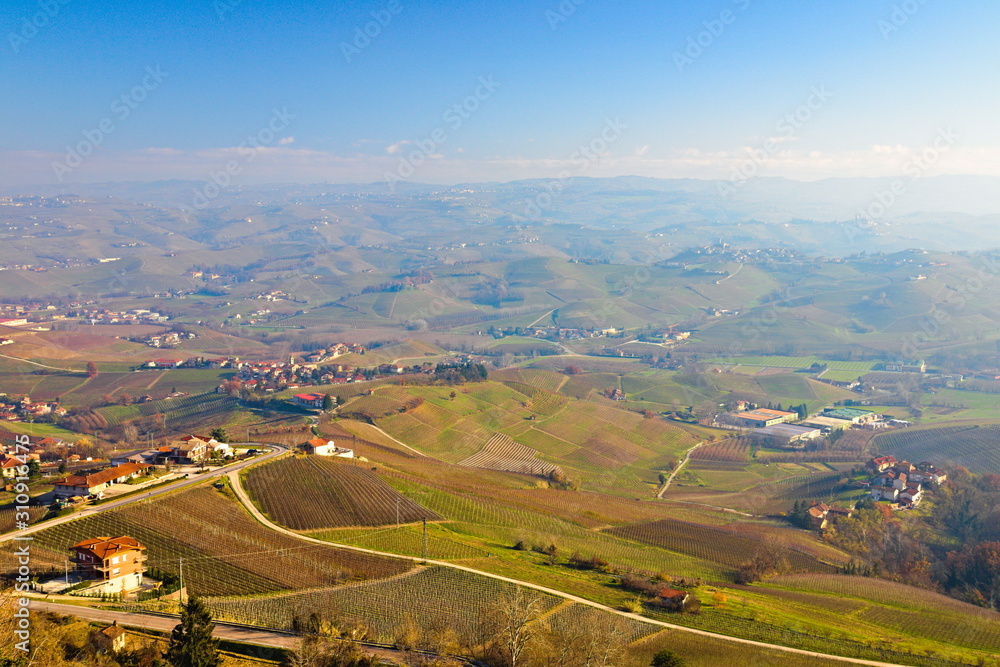 Morning winter view on landscape of smooth hills with rows of vineyards in the Langhe region, Cuneo, Piedmont, Italy