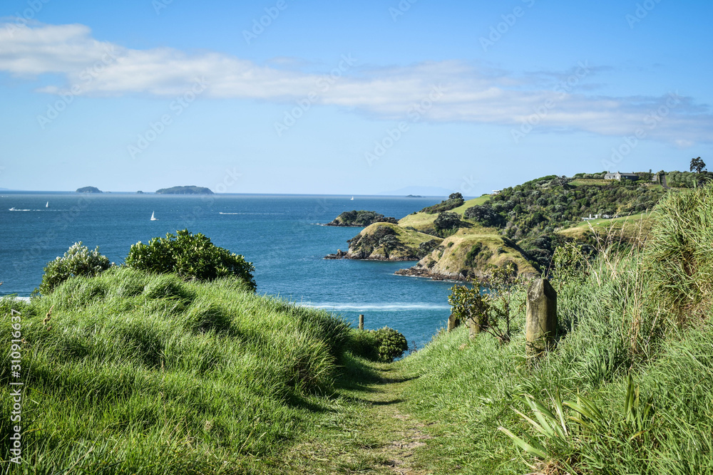 Hike on Waiheke Island, New Zealand Hike on Waiheke Island, New Zealand