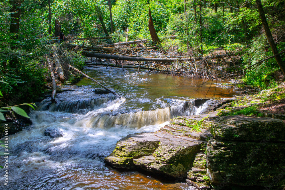 Obraz premium Hidden Brook
