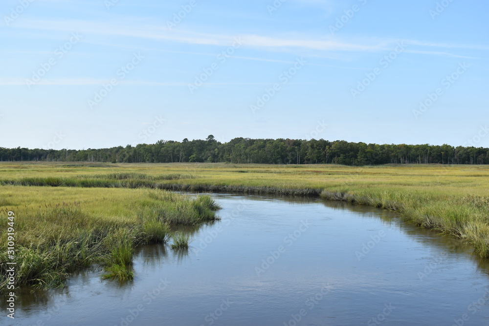 New Jersey wetlands