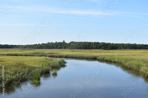 New Jersey wetlands