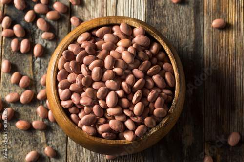 Raw Organic Dry Pink Beans