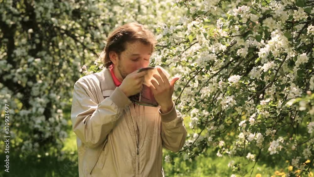Young man sneezes from Apple blossom young man sneezes from blossom Young man sneezes from Apple blossom young man sneezes from blossom