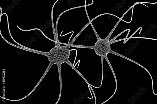 Neuron system wireframe mesh model. Low poly vector illustration. Science and medical healthcare concept