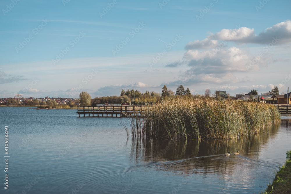 Obraz premium Landscape