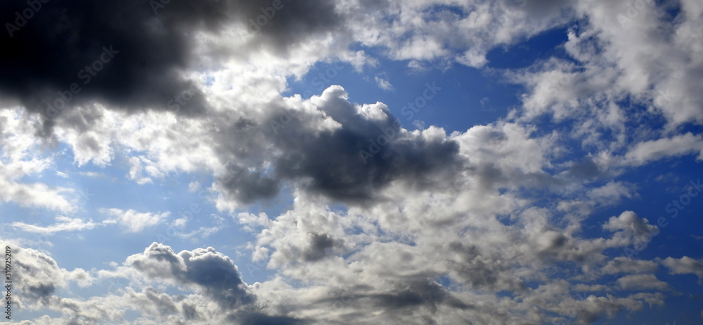 Obraz premium sky in Mon-repo park Vyborg city Leningrad region of Russia