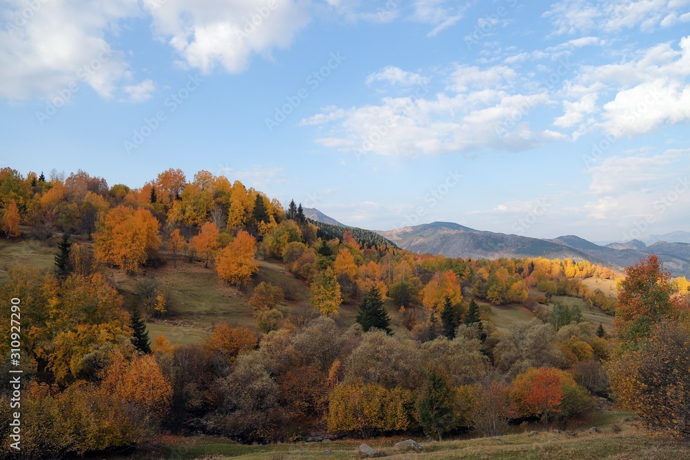 Colorful autumn landscape in the mountain village. 