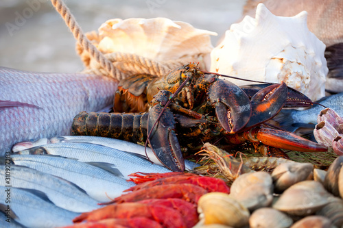 Fototapeta Naklejka Na Ścianę i Meble -  fish, lobsters, shrimp, shells lying on a wooden table covered with mesh. 
