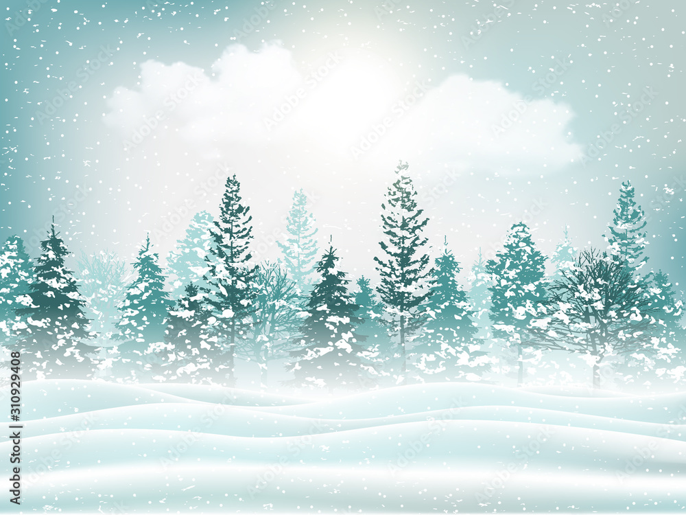 Winter forest backdrop. Seasonal natural holiday background with snowy field and conifer trees covered with snow.
