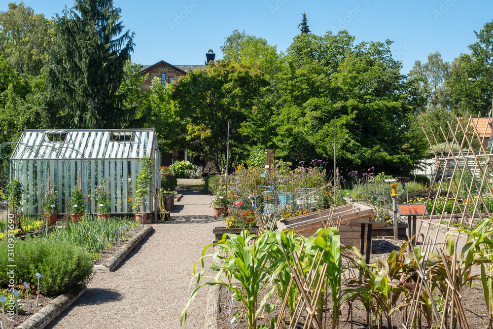 Botanical Garden of the University Uppsala, Sweden