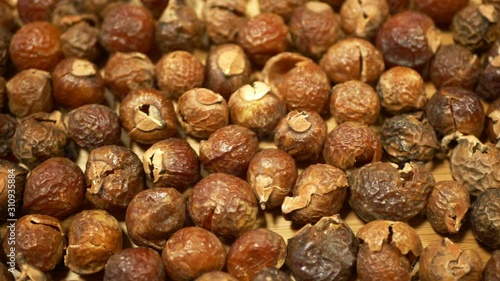 Soap nuts Indian soapberry or washnut, Sapindus mukorossi reetha or ritha from the soap tree shells are used to wash clothes to put in drum washing machines. Nuts contain saponin plant fruit seeds photo