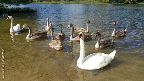 Fototapeta Naklejka Na Ścianę i Meble -  Mazury