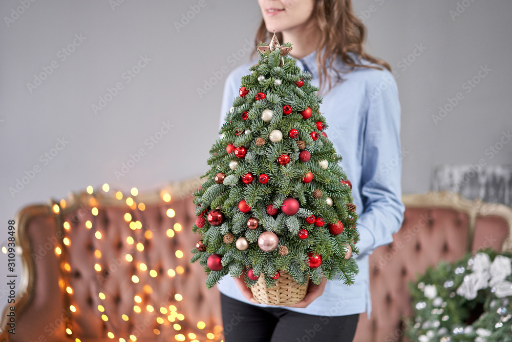 Beautiful small Christmas tree in womans hands. Happy mood. Garland lamp bokeh on background. Wallpaper. Danish pine and fir, Nobilis Beautiful small Christmas tree in womans hands. Happy mood. Garland lamp bokeh on background. Wallpaper. Danish pine and fir, Nobilis
