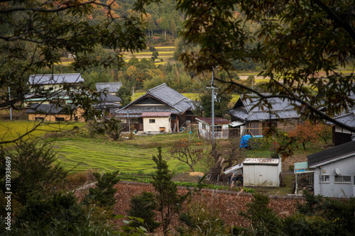 Small Japanese mountain village through the trees