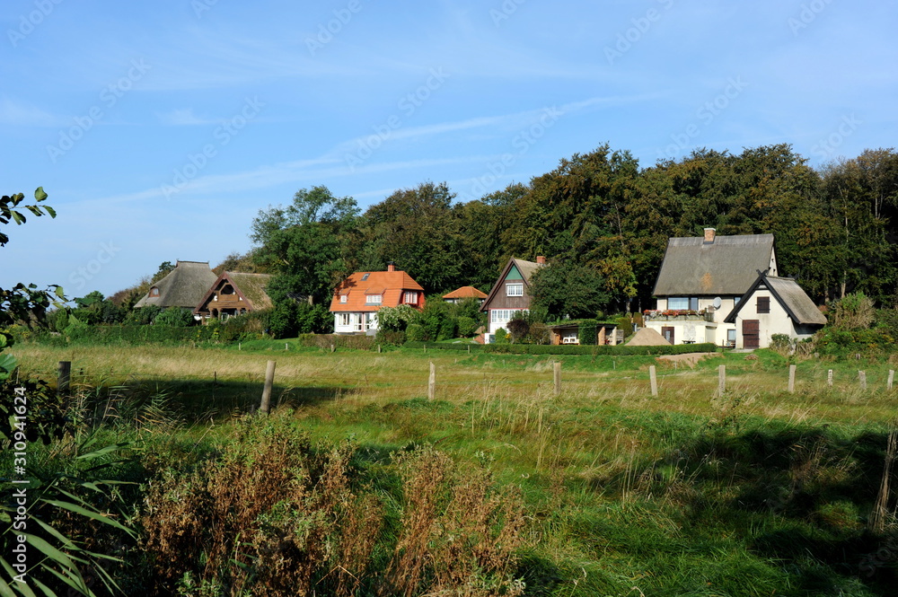 Hiddensee, am Waldrand von Vitte Hiddensee, am Waldrand von Vitte
