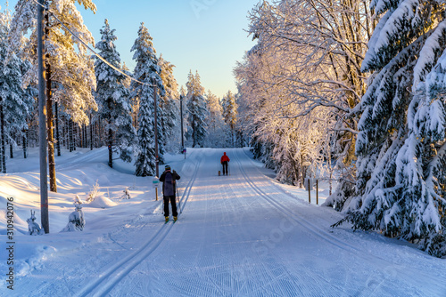 Exercise on skiing with and without a dog a wonderful winter day in Orsa, Sweden. photo