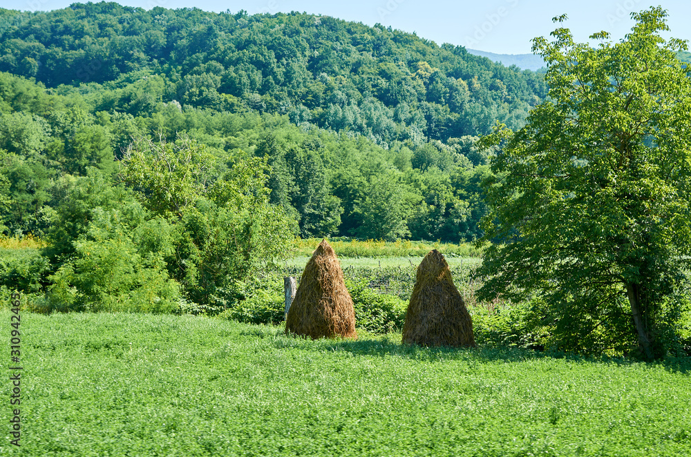 Hay bundles in a picturesque country landscape in spring