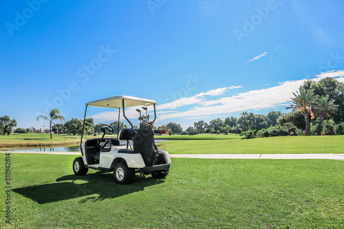 Obraz na płótnie Golf carts
