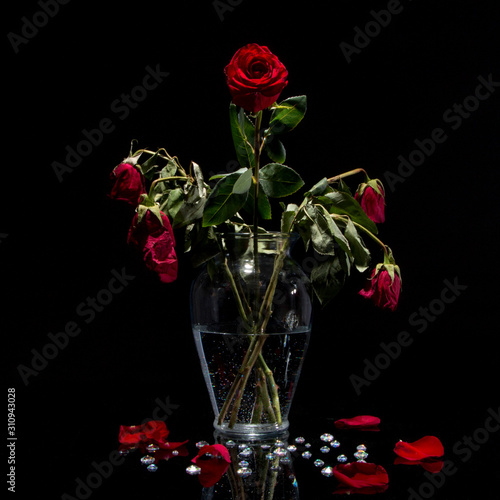 Dead Roses